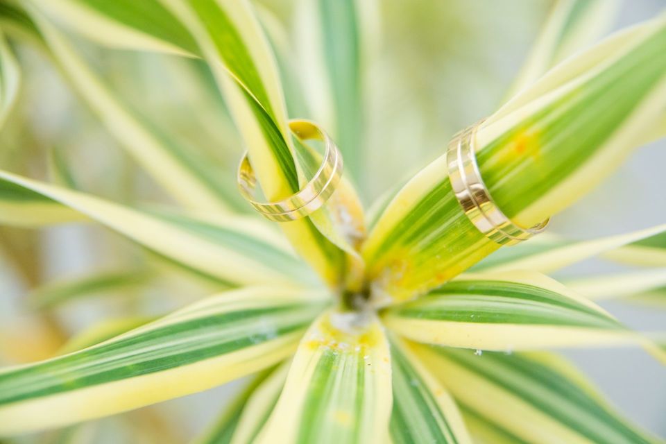 TENDÊNCIAS PARA CASAMENTO 2021